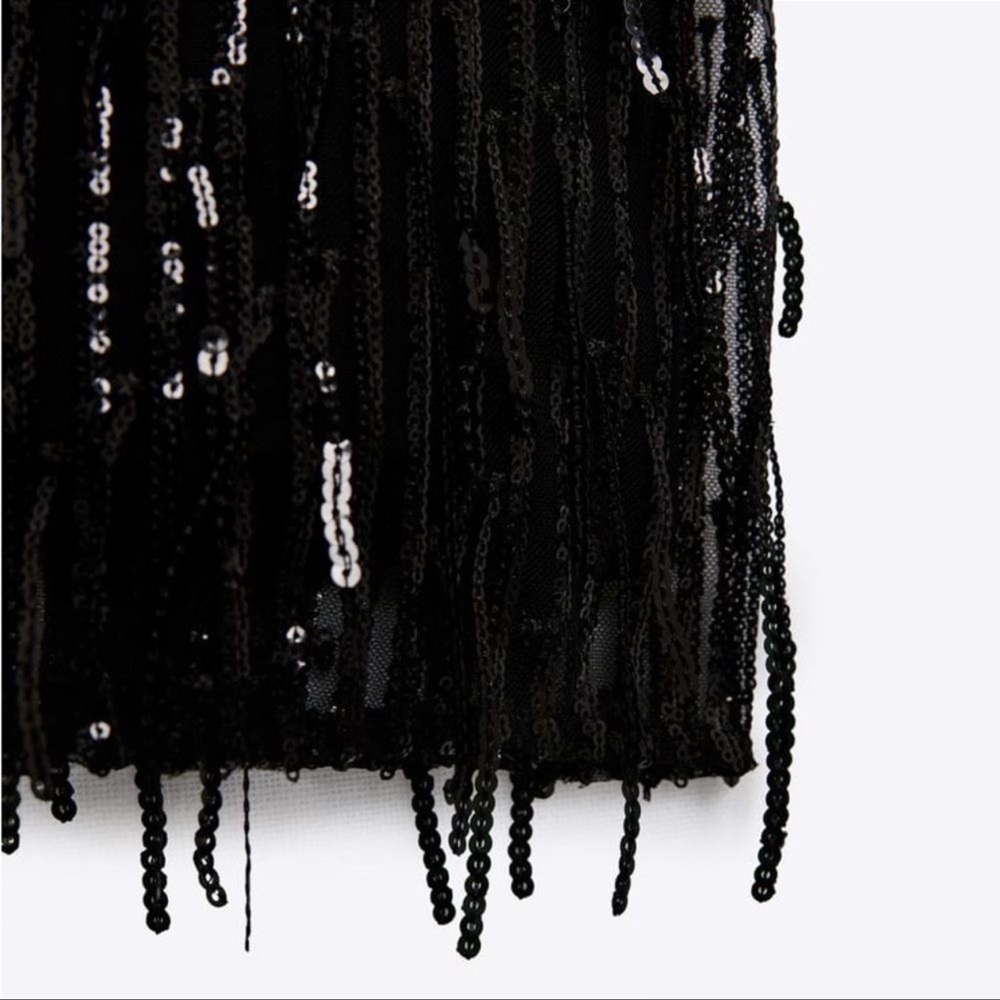 Zara Black Sequin Fringed Mini Dress
Short Sleeve Dress - Picture 6 of 11